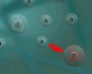 Phage wars online