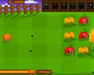 Seedz online